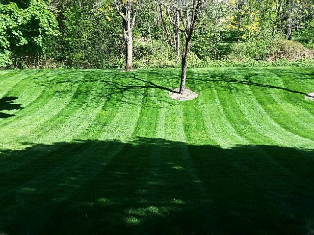 ATD Lawn Service project 10